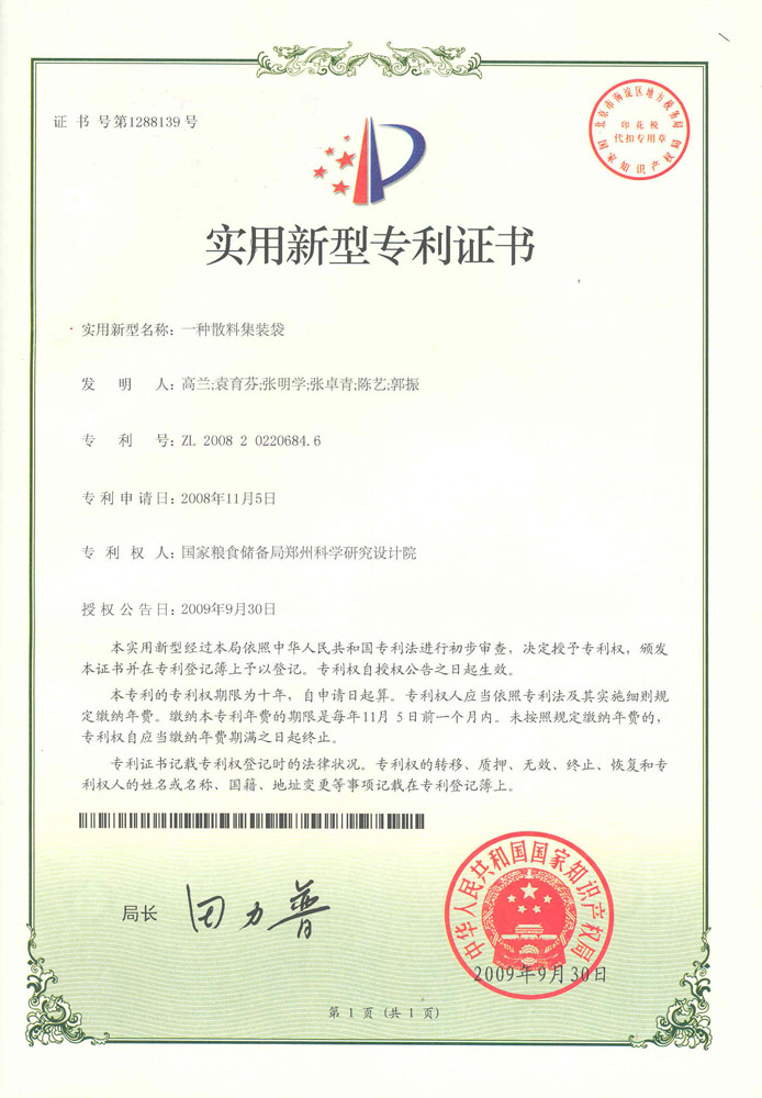 2009一种散料集装袋